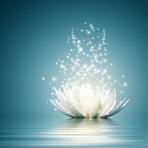 Meet your Posher, Christy